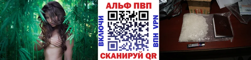закладка  Цивильск  Alpha-PVP СК КРИС 