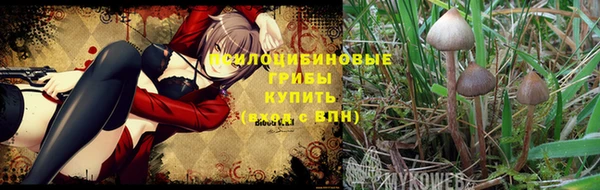 скорость Алексеевка